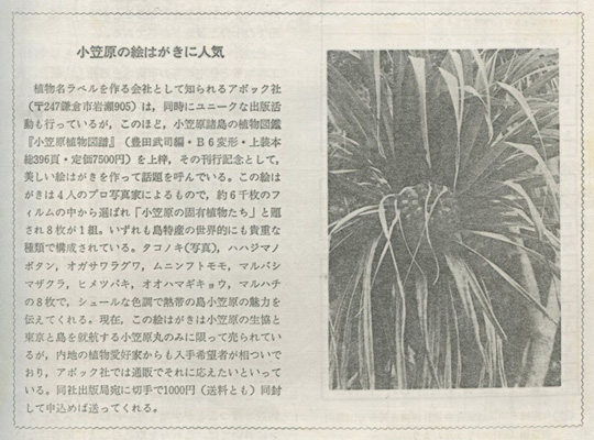 1981年12月&nbsp;グリーンエイジ