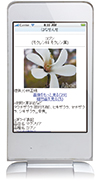 花ペディア&reg;