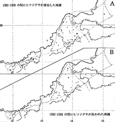 Fig.4. Changes of existence of Nymphaea tetragona in between 1982 and 1998. 
A: Newly appeared
B: Disappeared