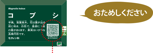 おためしください　