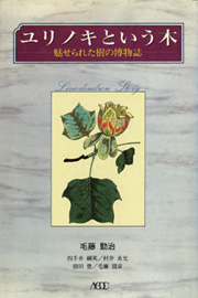 ユリノキという木