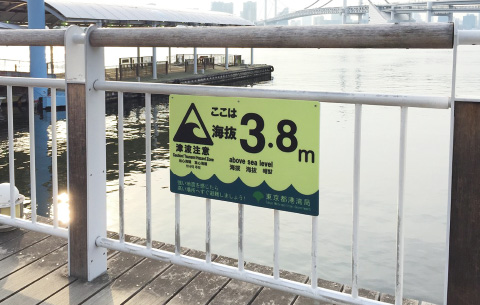 蓄光機能(日中)